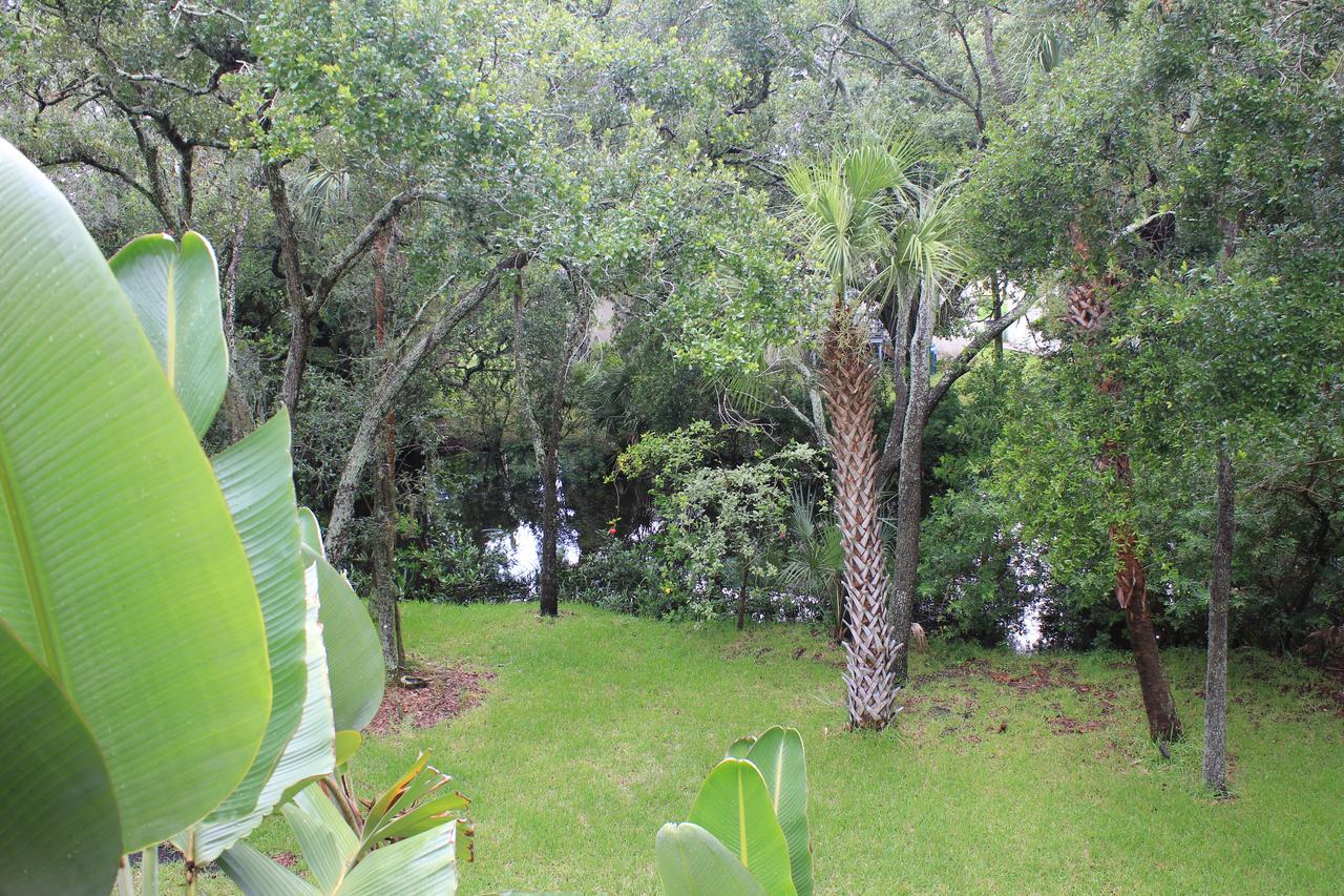 Treehouse Vila Tampa Exterior foto