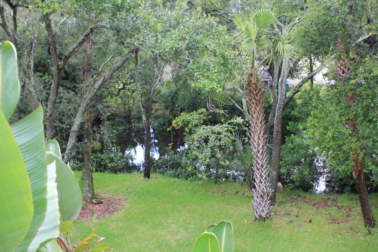 Treehouse Vila Tampa Exterior foto