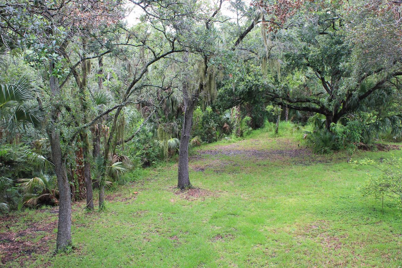 Treehouse Vila Tampa Exterior foto